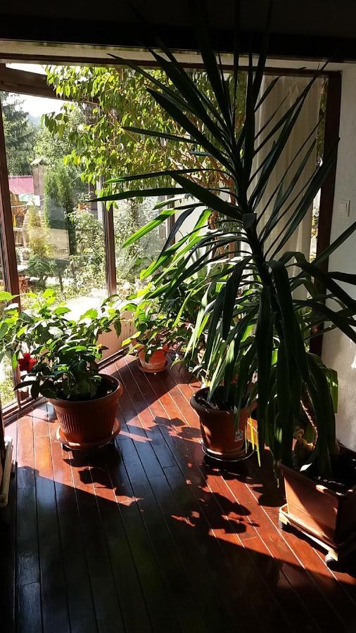 Vila Smaranda Predeal Bagian luar foto